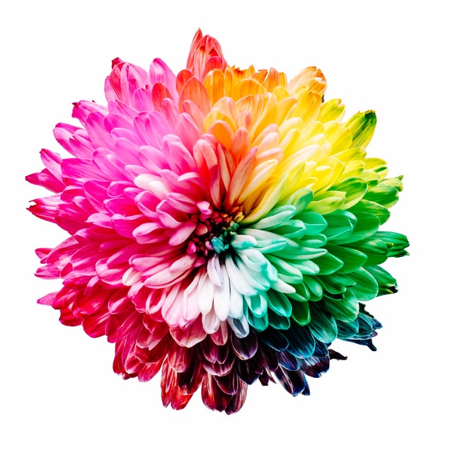 Psicologia del color Psicología del color